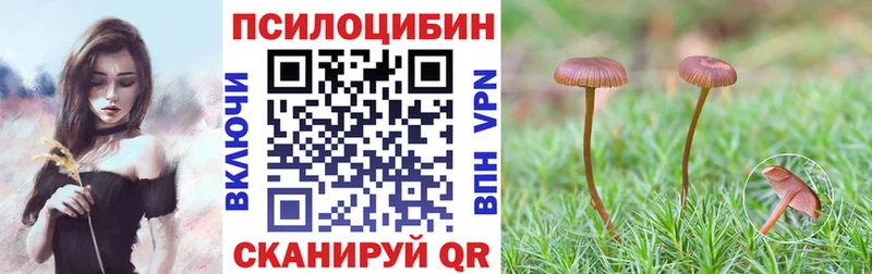 Галлюциногенные грибы Magic Shrooms  Купить где  Красный Холм 