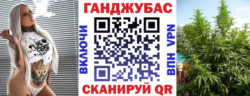 Бошки Шишки Amnesia  Купить где  Красный Холм 